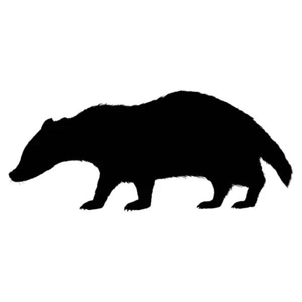 Badger Isolated Wild Animal Black Silhouette Illustratie — Stockvector