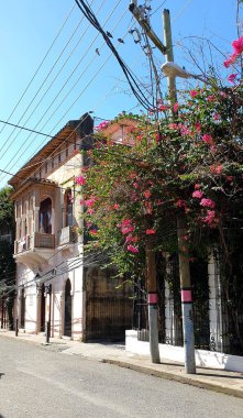 Santo Domingo, Dominik Cumhuriyeti - 26 Ocak 2022. Colonial Cuidad Caddesi. Ev ve Ağaç.