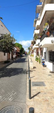 Küçük Şehir Sokağı. Yol, Ağaçlar ve Evler. Gündüz Fotoğrafı.