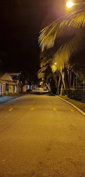 Trópusi Város Éjszakai Utcája Road Palm Trees Utcai Lámpák — Stock Fotó
