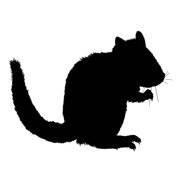 Silhouette Noire Chipmunk Illustration Vectorielle Sur Fond Blanc — Image vectorielle