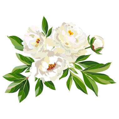 Çiçekli beyaz şakayık buketi. 