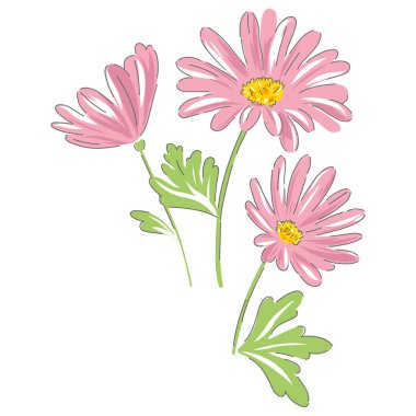 Daisy el çizimi vektör illüstrasyonu