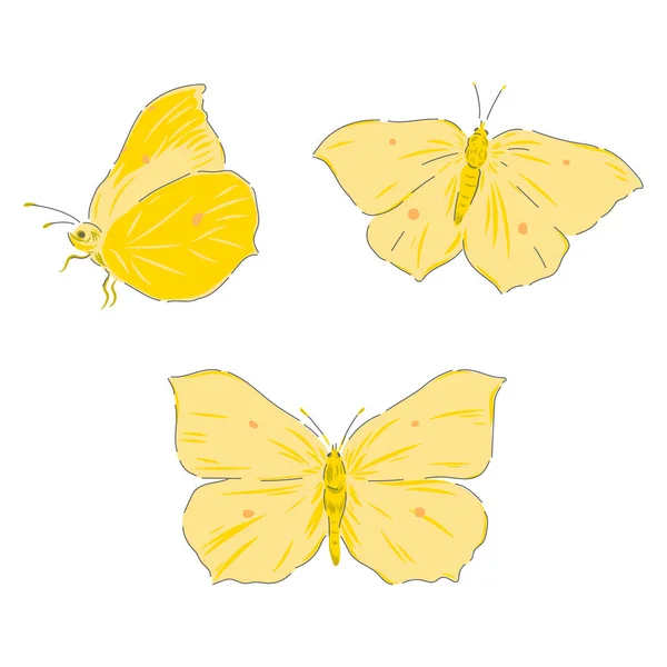 Ensemble vecteur papillon Brimstone isolé — Image vectorielle