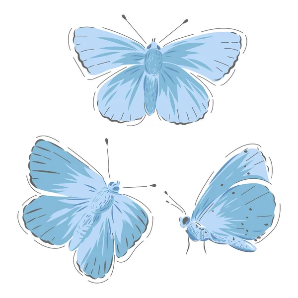 Vanlig blå fjäril — Stock vektor