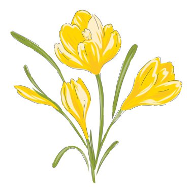 Kırsal sarı çiçekli el çizimi 