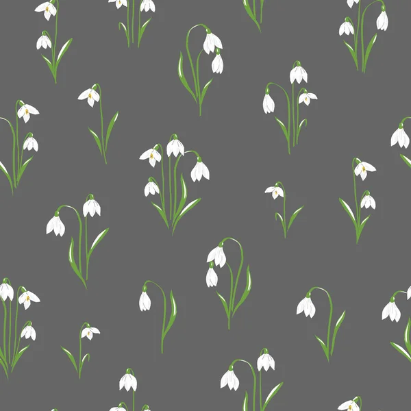 Snowdrops flower on dark background — Stock Vector