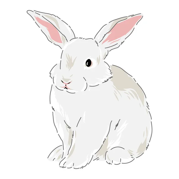 Bonito primavera coelho da Páscoa mão desenhada ilustração Vetores De Stock Royalty-Free