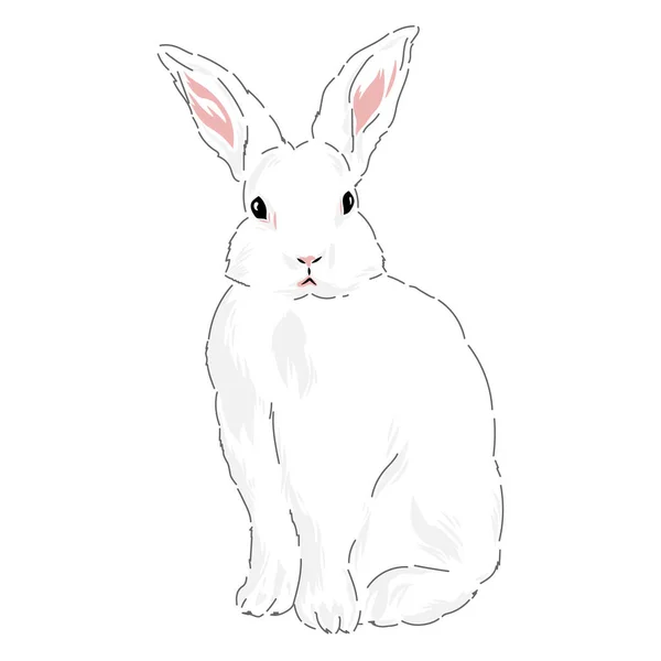 Hoş bir bahar Paskalya tavşanı çizimi — Stok Vektör