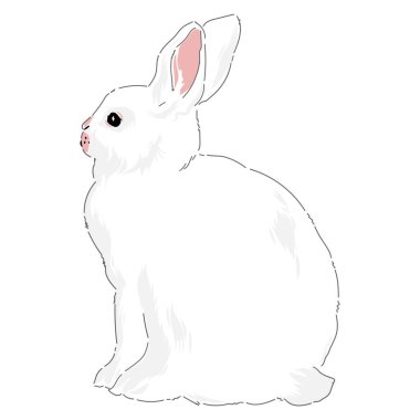 Hoş bir bahar Paskalya tavşanı çizimi 