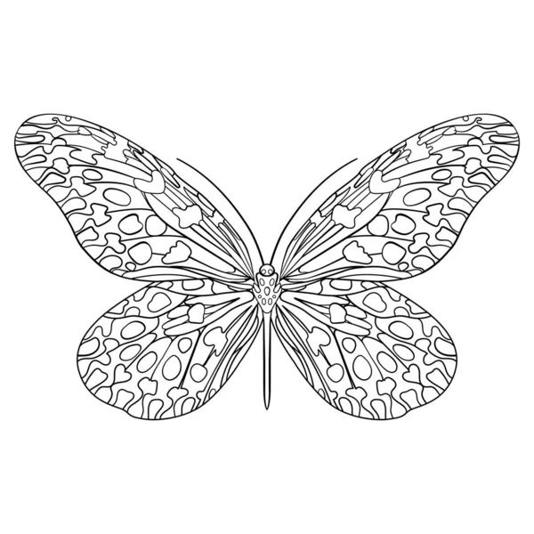 Silhouette Papillon Illustration Vectorielle Dessinée Main Élément Isolé Sur Fond — Image vectorielle