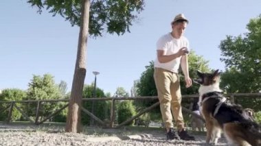 Köpek parkında köpek eğitimi. Ağaca tırmanıp topu yakalıyorum.