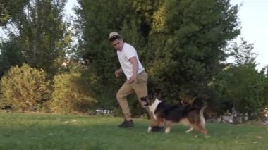 Collie 'nin köpeği sahibinin yanında koşuyor, ağır çekimde.