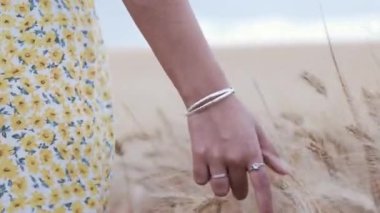 Tarlada yürürken olgun buğdaylara dokunan bir kadının yakın görüntüsü..