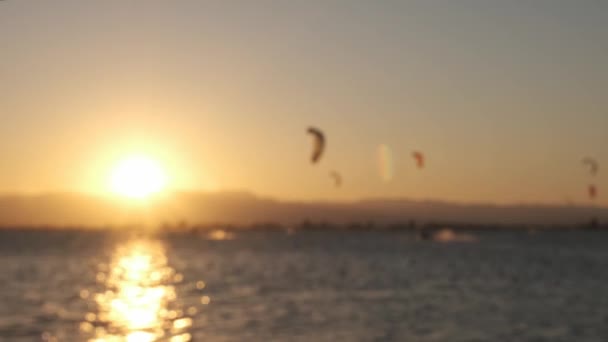 Nieostre Ujęcie Kilku Osób Kitesurfujących Zachodzie Słońca — Wideo stockowe