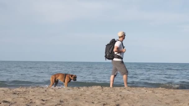 Viajero Con Perro Boxeador Paseando Por Playa Movimiento Lento — Vídeos de Stock
