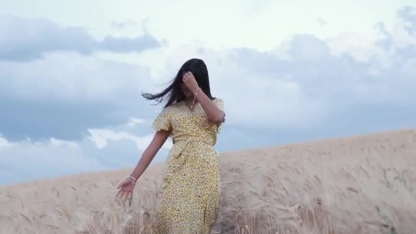 Front View Hispanic Young Woman While Walking Field — Stock Video