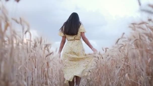 Een Vrouw Een Jurk Die Door Een Tarweveld Loopt Natuur — Stockvideo