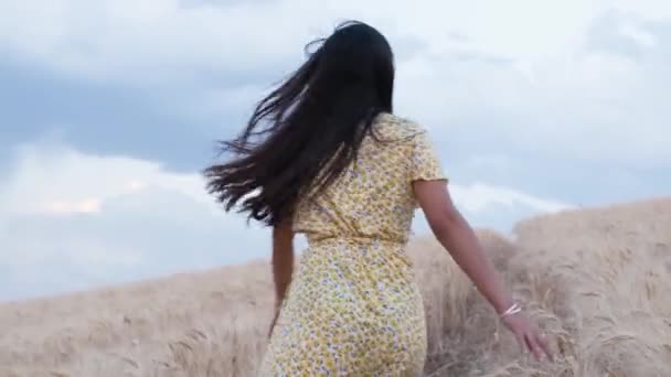 Carefree Woman Enjoying Nature While Running Wheat Field Slow Motion — Stock Video
