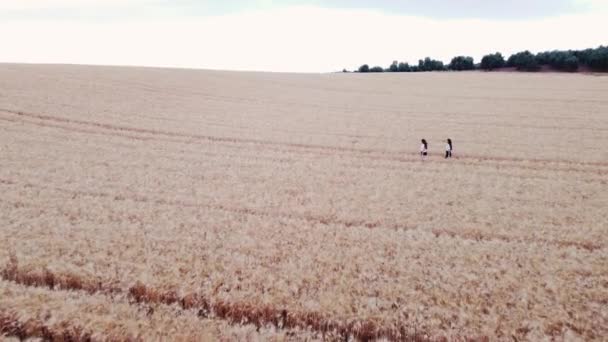 Вид Воздуха Двух Женщин Наслаждающихся Природой Время Прогулки Пшеничному Полю — стоковое видео