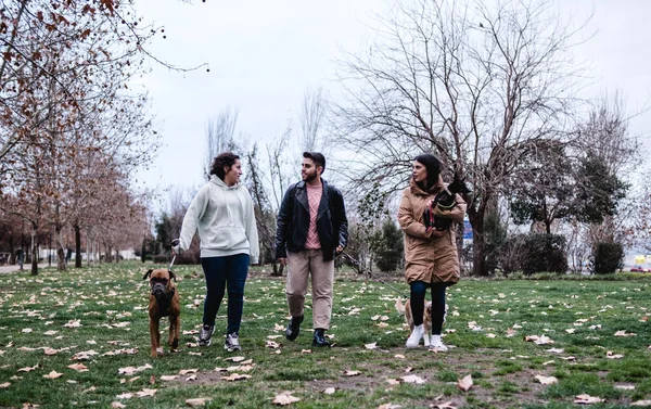 Três amigos desfrutando de um passeio no parque junto com seus cães. — Fotografia de Stock