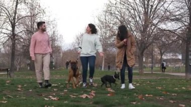 Bir grup arkadaş, köpekleriyle parkta yürüyüş yaparken konuşup eğleniyorlar. Dostluk, köpekler ve evcil hayvanlar konsepti.