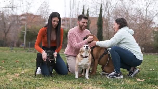 Gruppo Amici Incontra Nel Parco Con Loro Cani Amicizia Cani — Video Stock