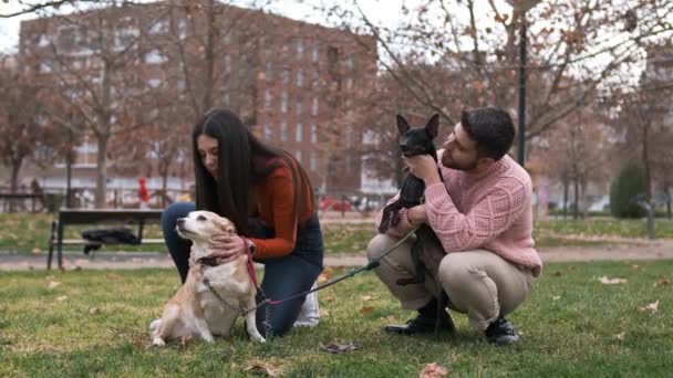 Mladý Pár Užívá Den Venku Parku Svými Psy Domácí Mazlíčci — Stock video