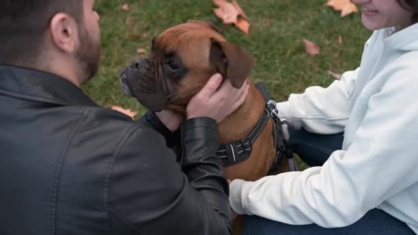 Couple Stroking Dog While Enjoying Day Outdoors Together Park Pets — Stock Video