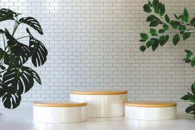 3 boyutlu illüstrasyon. Yan tarafında yeşil yapraklar olan ürün ekranı için üç silindirik boş podyum