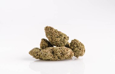 İzole edilmiş beyaz bir arkaplanda esrar tomurcukları.