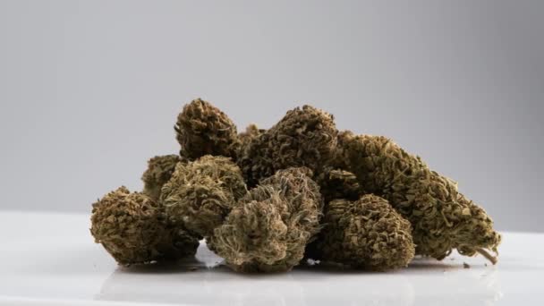 Many Marijuana CBD buds rotating on a white background — Vídeo de stock