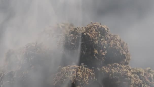 Close-up shot of cloud of smoke with many Marijuana CBD buds on black background — Stockvideo