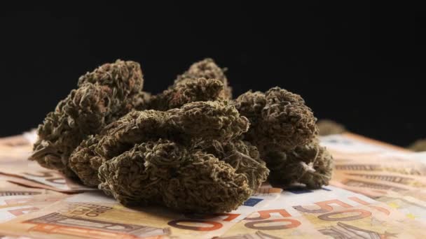 Marijuana buds with euro bills on a dark background.