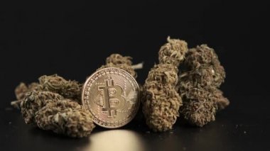 Marihuana tomurcuklu kripto para Bitcoin.