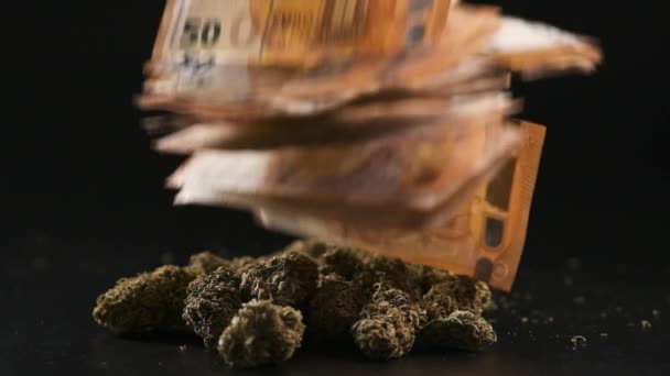 Marijuana knoppar faller nära pengar räkningar över en mörk bakgrund. — Stockvideo