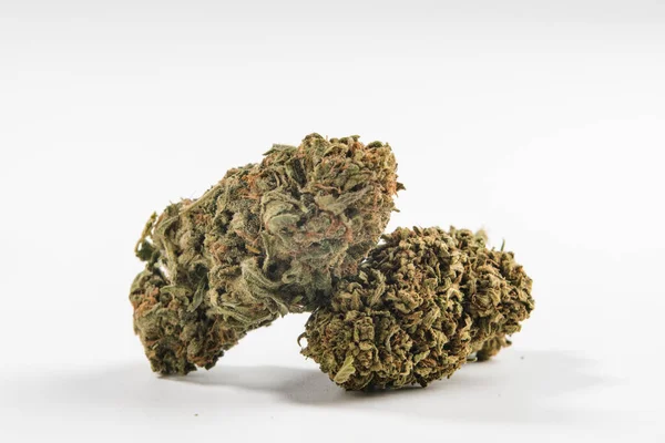 Beyaz arka planda iki esrar tomurcuğunun yakın görüntüsü. Şifalı bitki ve CBD konsepti.