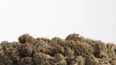Beyaz arka planda esrar tomurcukları. Şifalı bitki ve CBD konsepti.