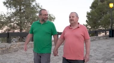Orta yaşlı erkek çift gün batımında dışarıda yürüyüş yaparken el ele tutuşuyorlar. Yavaş çekim videosu. LGBT, aşk ve ilişki kavramı.