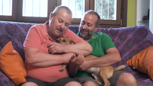 Senior Homosexual Couple Sitting Sofa Pet Dog Slow Motion — Stock Video
