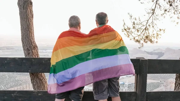Back View Middle Aged Male Couple Embracing Each Other While — Foto de Stock
