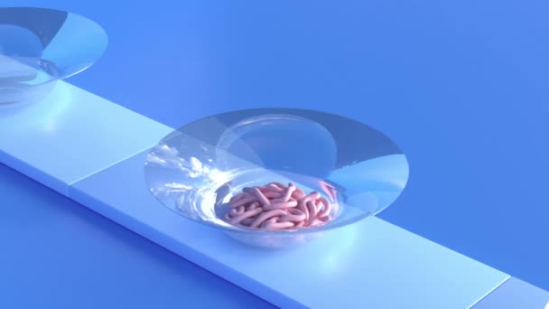 Glass Bowl Moving Conveyor Belt Filling Long Elastic Pink Jelly — Stockvideo