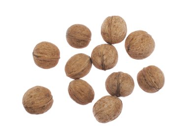 Beyaz arka planda cevizler