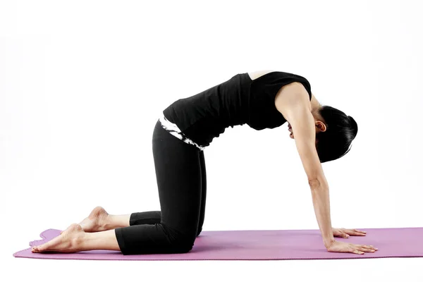 Portret van een schattige jonge Aziatische vrouw beoefenen van yoga op een mat — Stockfoto