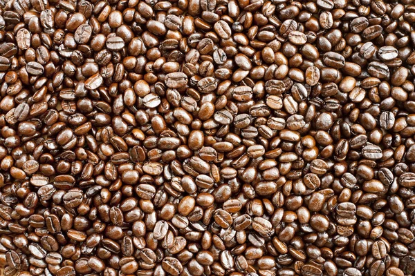 Achtergrond koffiebonen — Stockfoto