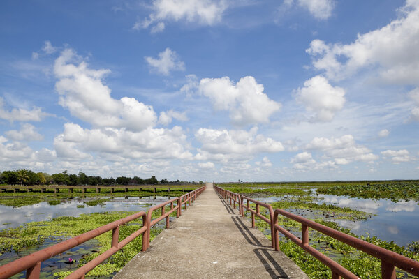 Проселочная дорога