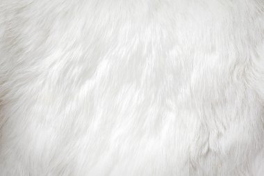White fur background clipart