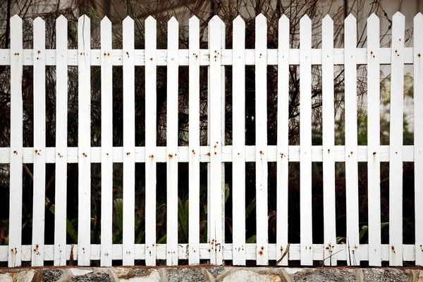 Белый забор — стоковое фото