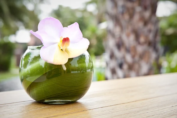 Cenário de mesa com flor de orquídea — Fotografia de Stock