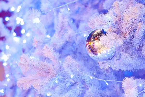 Una imagen de cerca de un orbe ornamental de Navidad decorativo blanco en una rama de abeto blanco con la iluminación azul . —  Fotos de Stock